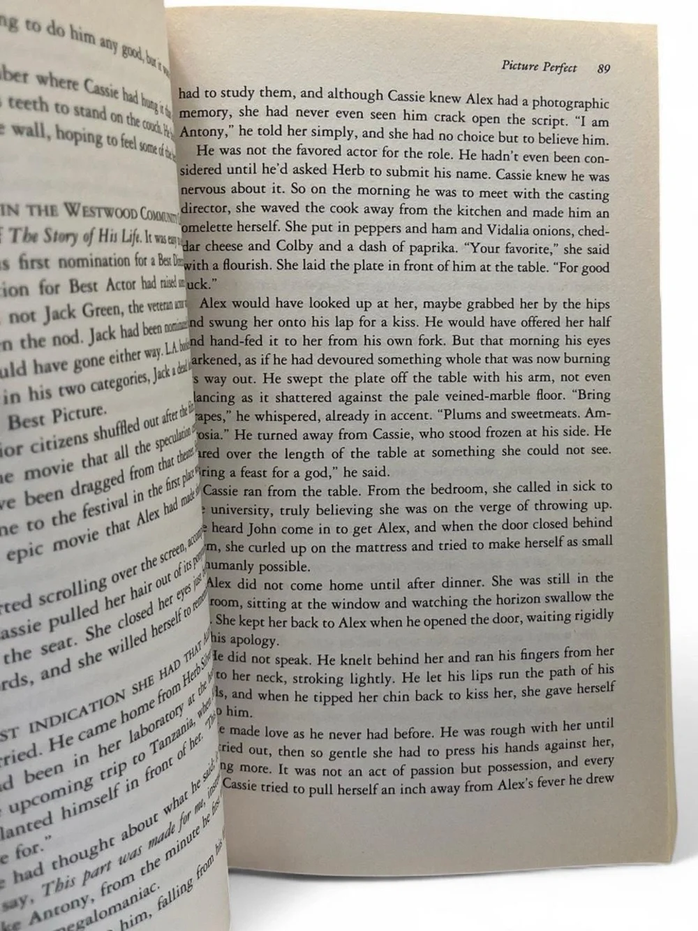 Jodi Picoult Picture Perfect Paperback Book Drama Romance Fiction Novel Adult